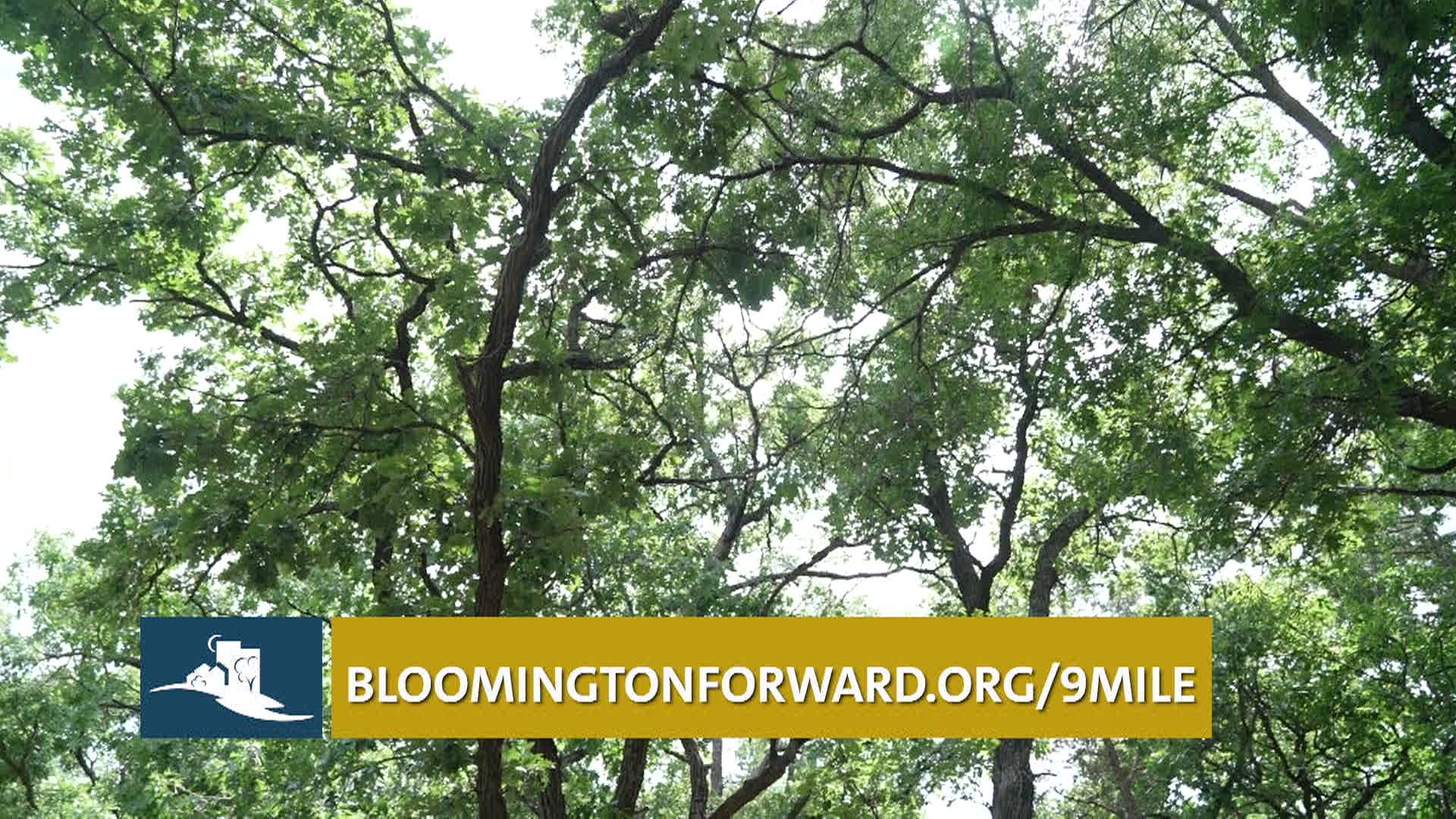 Council Minute: July 1, 2026