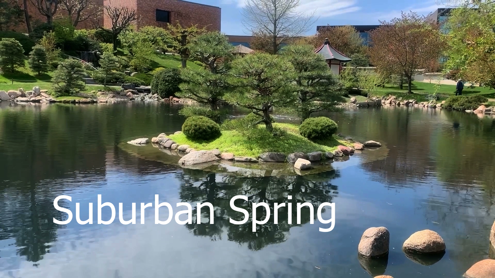 Suburban Spring