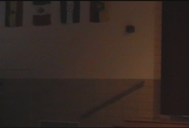 Valley View Gr. 1: The Unity Tree